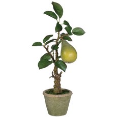 Sullivans 裝飾梨樹花盆, 1個, 綠