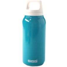 SIGG 不鏽鋼保溫瓶, 300毫升, 水族