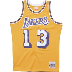 米切爾和尼斯洛杉磯湖人隊球迷版球衣威爾特張伯倫籃球球衣