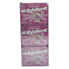 Focus NUTRITION Xilo爆發木糖醇水果酸鹽, Grape, 6份, 45g