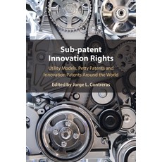 (英文圖書) Sub-Patent Innovation Rights 精裝版, Cambridge University Press, 英文