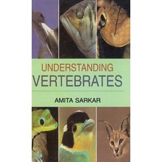 (英文圖書) Understanding Vertebrates 精裝版, Discovery Publishing House ..., 英文