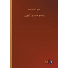 (英文圖書)Adrift in New York 平裝版, Outlook Verlag, 英文