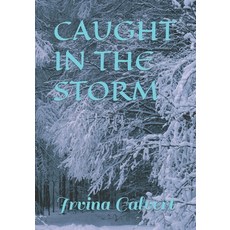 (英文圖書) Caught in the Storm 平裝版, Independently Published, 英文