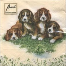 斑馬麥麥 餐巾紙 蝶古巴特 拼貼 德國餐巾紙 手作 Decoupage DIY 手工藝材料