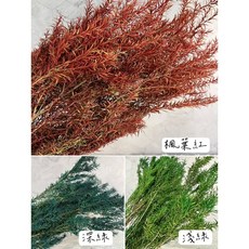 【W&T花藝資材】台灣現貨-不凋茶樹 乾燥花材 花藝設計 多色可選, 淺綠