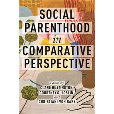 (英文圖書) Social Parenthood in Comparative Perspective 精裝版, New York University Press, 英文