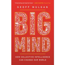 (英文圖書) Big Mind: How Collective Intelligence Can Change Our World /]cgeoff Mulgan 平裝版, Princeton University Press, 英文