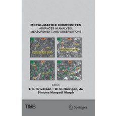 Metal-Matrix Composites: Advances in Analysis Measurement and Observations 精裝版, Springer, 英文