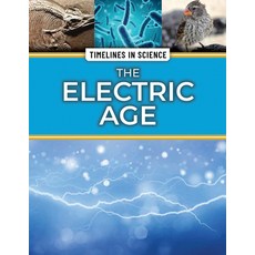 (英文圖書) The Electric Age Library Binding, Rosen Young Adult, 英文, 圖書館裝訂