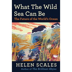 (英文圖書) What the Wild Sea Can Be: The Future of the World's Ocean 平裝版, Grove Press, 英文