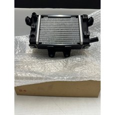 KYMCO光陽 LKG2 雷霆王水箱(930新版本) SC36AG SC36AF SC36AE 原廠零件