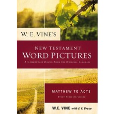 (英文圖書) W. E. Vine's New Testament Word Pictures: Matthew to Acts 平裝版, Thomas Nelson, 英文