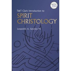 T&t Clark Introduction to Spirit Christology 精裝版, 英文