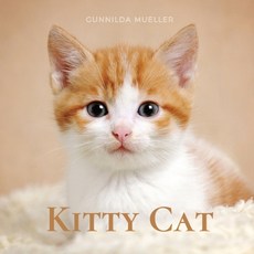 (英文圖書) Kitty Cat: Kittens Picture Book for Dementia and Alzheimer's Patients 平裝版, Adisan Publishing AB, 英文
