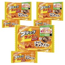Yurakuseika 有樂製菓 迷你黑雷神巧克力 焦糖口味, 3個, 130g