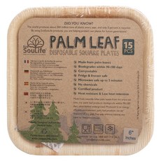 生態靈魂生活棕櫚葉一次性方形一次性盤子, 1個, 15入