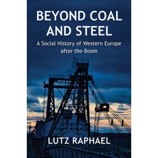 (英文圖書) Beyond Coal and Steel: A Social History of Western Europe After the Boom 精裝版, Polity Press, 英文