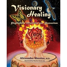 (英文圖書) Visionary Healing 平裝版, Regent Press, 英文