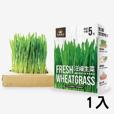 汪喵星球 生菜新鮮栽培盒 貓零食 貓咪點心 貓草種植 貓草培養 小麥草, 65g, 1個, 貓生菜