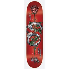 DGK 滑板板身 Locked Ortiz 8.1吋 楓木材質 耐用彈性 滑板配件