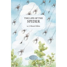 (英文圖書) The Life of the Spider 平裝版, Purple House Press, 英文