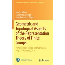 (英文圖書) Geometric and Topological Aspects of the Representation Theory of Finite Groups: PIMS Summer ... 精裝版, Springer, 英文