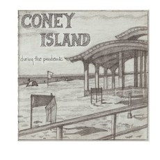 (英文圖書) Coney Island During the Pandemic 平裝版, Art and Adventures, 英文