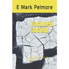 (英文圖書) Factured Society: opportunities in the gaps (c) 平裝版, Createspace Independent Pub..., 英文