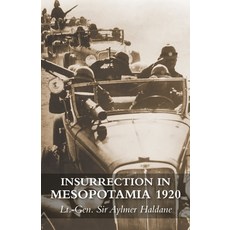Insurrection in Mesopotamia 1920 平裝版, Naval & Military Press, 英文