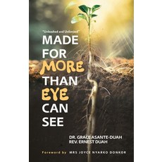 (英文圖書) Made for More Than Eye Can see: Unleashed and Unlimited 平裝版, Equip Publishing House, 英文