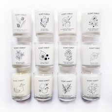 SCENT FOREST 大豆香氛蠟燭, 80g, 1個, 無邊之林