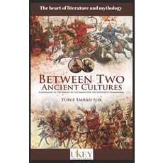(英文圖書) Between Two Ancient Cultures: Comparison of the heroes of the Manas Epic and Ferdowsi's Shahn... 平裝版, Independently Published, 英文