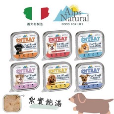Alps 阿爾卑斯 無穀主食犬餐盒, 100g, 鯡魚