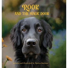 (英文圖書)Rook and the Magic Door: Written and Illustrated by Danica Barreau 精裝版, Fletter Press, 英文