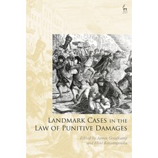 (英文圖書) Landmark Cases in the Law of Punitive Damages 精裝版, Hart Publishing, 英文