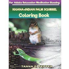 IGUANA+INDIAN PALM SQUIRREL Coloring book for Adults Relaxation Meditation: Sketch coloring book Gra... 平裝版, Createspace Independent Pub..., 英文