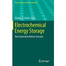Electrochemical Energy Storage: Next Generation Battery Concepts 精裝版, Springer, 英文