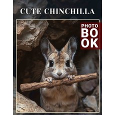 (英文圖書) Cute Chinchilla Photo Book: Captivating Collection Of 40 Adorable Chinchilla Im... 平裝版, Independently Published, 英文
