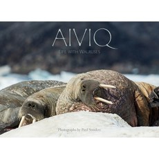 (英文圖書) Aiviq: Life with Walruses 精裝版, Inhabit Media, 英文