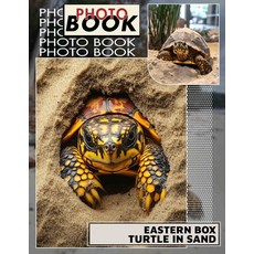 (英文圖書) Eastern Box Turtle In Sand Photo Book: Explore 40 Stunning Images Of This Uniqu... 平裝版, Independently Published, 英文