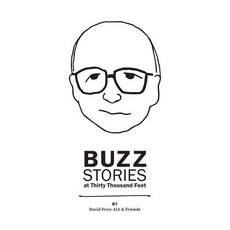 Buzz Stories at Thirty Thousand Feet 平裝版, Casa Flamingo Literary Arts, 英文