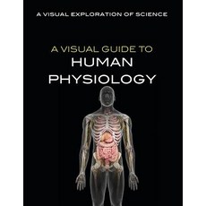 (英文圖書)A Visual Guide to Human Physiology Library Binding, Rosen Young Adult, 英文, 圖書館裝訂
