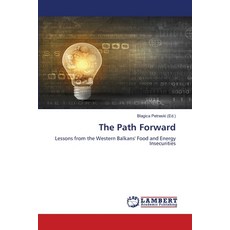 (英文圖書) The Path Forward 平裝版, LAP Lambert Academic Publis..., 英文