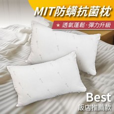 安迪寢具 深度睡眠枕 枕頭 飯店民宿枕芯 助眠抗菌枕 健康絲絨 台灣製, White