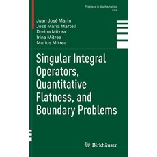 (英文圖書) Singular Integral Operators Quantitative Flatness and Boundary Problems 精裝版, Birkhauser, 英文