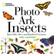 (英文圖書) National Geographic Photo Ark Insects: Butterflies Bees and Kindred Creatures 精裝版, National Geographic Society, 英文