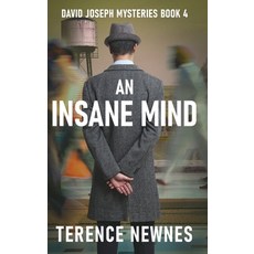 (英文圖書) An Insane Mind 精裝版, Next Chapter, 英文