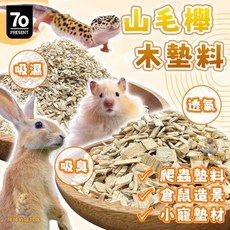柒哦 山毛櫸木墊料 - 倉鼠、陸龜、爬蟲、寵物鼠適用墊料 - 兔子、老鼠、鸚鵡等小動物底材, 詳見包裝, 詳見包裝, 【柒哦】山毛櫸木床(片狀),【分裝-500g】