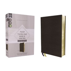 Nasb Thinline Bible Large Print Passaggio Setting Leathersoft Black Red Letter 1995 Text Com... Imitation Leather, Zondervan, 英文, 仿皮